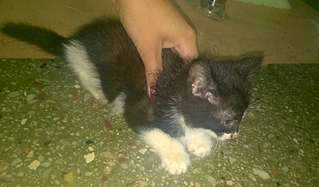 1920 X 1122 162.9 Kb 1343 X 2021 554.9 Kb    