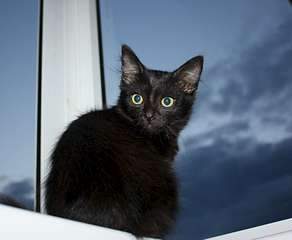 1920 X 1573 125.8 Kb     2 . 