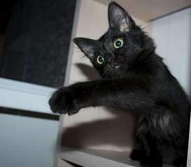 1920 X 1684 129.1 Kb     2 . 