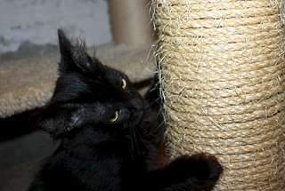 1920 X 1292 203.8 Kb 1920 X 1508 182.8 Kb     2 . 