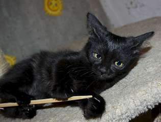 1920 X 1455 178.1 Kb     2 . 