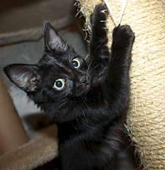 1920 X 1975 201.1 Kb     2 . 