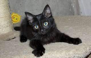 1920 X 1223 154.3 Kb 1920 X 1975 201.1 Kb     2 . 