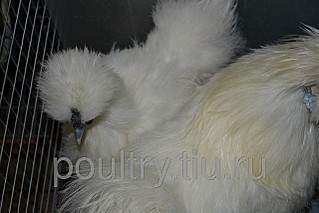 640 X 427 54.9 Kb 320 X 480 53.4 Kb    