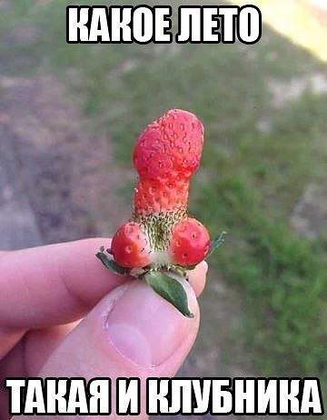 360 x 462 Улыбнемся?