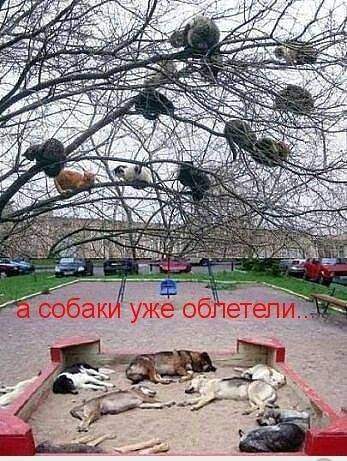 347 x 461 Улыбнемся?