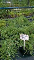 918 X 1632 758.9 Kb 918 X 1632 718.6 Kb   