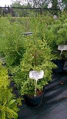 918 X 1632 754.4 Kb 918 X 1632 758.9 Kb 918 X 1632 718.6 Kb   