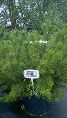 918 X 1632 704.1 Kb 918 X 1632 687.9 Kb 918 X 1632 754.4 Kb 918 X 1632 758.9 Kb 918 X 1632 718.6 Kb   