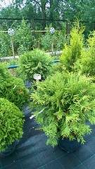 918 X 1632 825.1 Kb 918 X 1632 651.5 Kb   