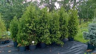 1632 X 918 692.3 Kb 918 X 1632 706.0 Kb 918 X 1632 695.2 Kb 918 X 1632 825.1 Kb 918 X 1632 651.5 Kb   