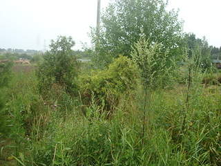 2048 X 1536 413.5 Kb ���������� ���������