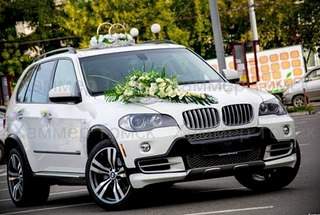 625 X 420  70.8 Kb     -?