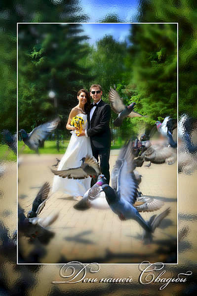 1920 X 2884 532.9 Kb 1920 X 1280 356.3 Kb 1920 X 1278 259.6 Kb 1920 X 1278 206.5 Kb    .