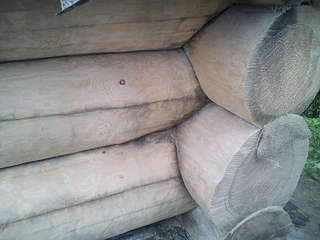 1920 X 1440 256.3 Kb     .