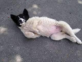 1920 X 1440 425.9 Kb     .