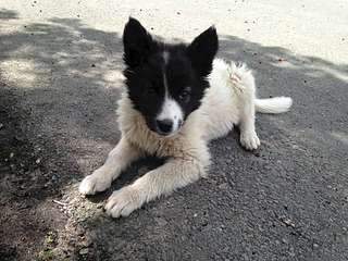 1920 X 1440 419.1 Kb 1920 X 1440 425.9 Kb     .