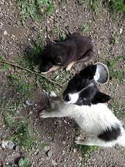 1080 X 1440 322.8 Kb 1920 X 1440 419.1 Kb 1920 X 1440 425.9 Kb     .