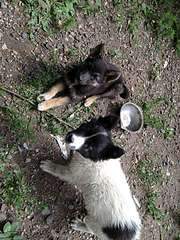 1080 X 1440 316.9 Kb 1080 X 1440 322.8 Kb 1920 X 1440 419.1 Kb 1920 X 1440 425.9 Kb     .