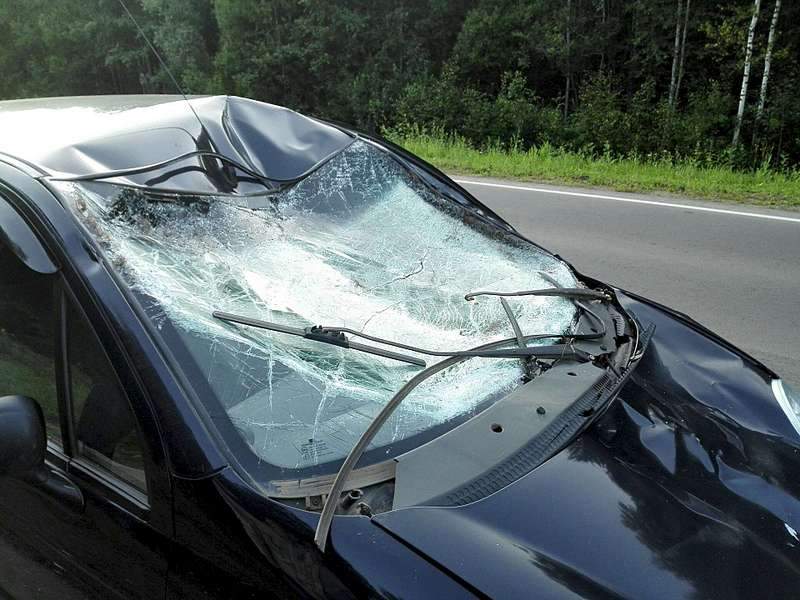 1920 X 1440 277.8 Kb 1920 X 1440 310.1 Kb 18.07.2015     - ,       