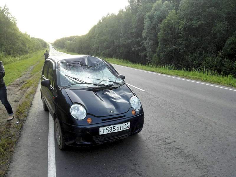 1920 X 1440 269.1 Kb 1920 X 1440 277.8 Kb 1920 X 1440 310.1 Kb 18.07.2015     - ,       