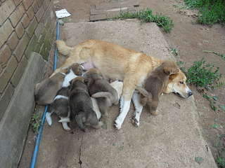 1920 X 1440 296.3 Kb 1920 X 1440 270.2 Kb 1920 X 1440 296.9 Kb    , 8     , 