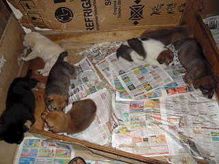 1920 X 1440 337.6 Kb 1920 X 1440 308.7 Kb 1920 X 1440 338.0 Kb 1920 X 1440 319.1 Kb 1920 X 1440 217.9 Kb    , 8     , 