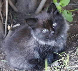 1920 X 1754 359.2 Kb 1920 X 1457 365.3 Kb      1  2 