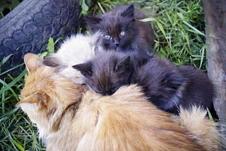 1920 X 1291 286.1 Kb      1  2 