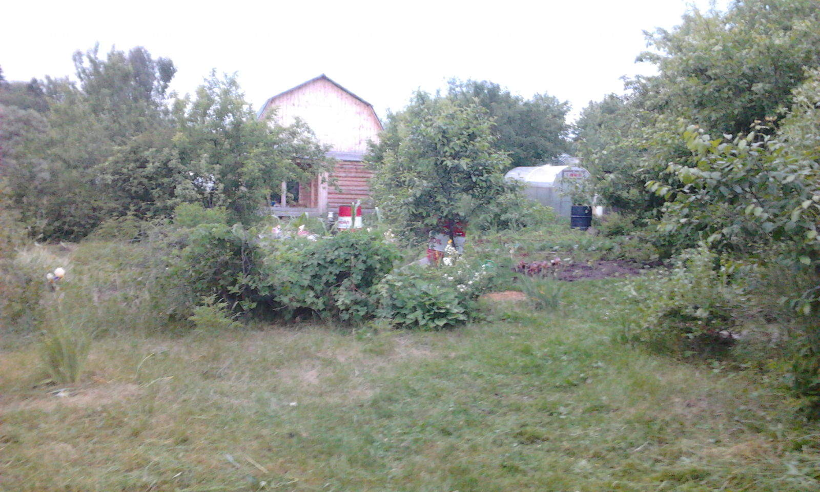 Снт В Ижевске Купить Недорого