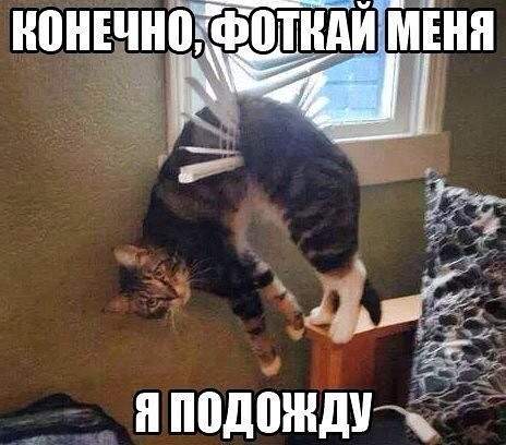 464 x 408 Улыбнемся?