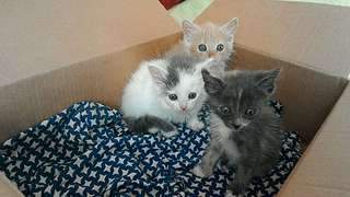 1920 X 1080 188.9 Kb  3     