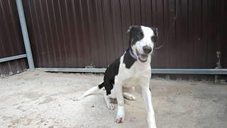 1920 X 1080 187.9 Kb 1920 X 1080 197.3 Kb 1920 X 1080 202.1 Kb 1920 X 1080 165.0 Kb     