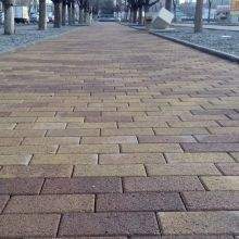 220 x 220  Premium  ( )