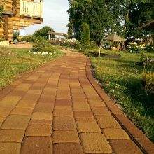 220 x 220 220 x 220 220 x 220 220 x 220 220 x 220  Premium  ( )