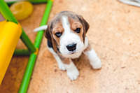 1199 X 800 123.2 Kb 1199 X 800 161.1 Kb  