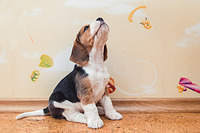 1199 X 800 170.6 Kb 1199 X 800 107.8 Kb 1199 X 800 191.3 Kb 1199 X 800 123.2 Kb 1199 X 800 161.1 Kb  