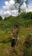 918 X 1632 699.5 Kb 918 X 1632 747.2 Kb  