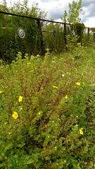 918 X 1632 747.5 Kb 918 X 1632 731.7 Kb 918 X 1632 692.8 Kb  