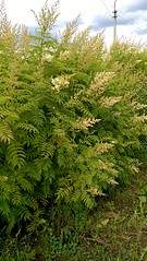 918 X 1632 685.3 Kb 918 X 1632 747.5 Kb 918 X 1632 731.7 Kb 918 X 1632 692.8 Kb  