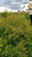 918 X 1632 609.8 Kb 918 X 1632 685.3 Kb 918 X 1632 747.5 Kb 918 X 1632 731.7 Kb 918 X 1632 692.8 Kb  