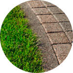 149 x 149 149 x 149  Premium  ( )