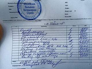 960 X 720 108.3 Kb люди! не ходите в ветеринарку 'бим'
