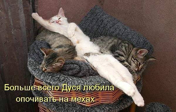 600 x 382 Улыбнемся?