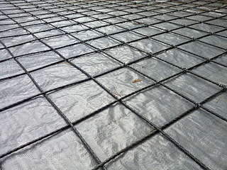 1920 X 1440 491.9 Kb    