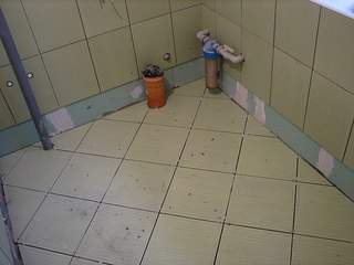 604 X 453 39.9 Kb   ,  ,  