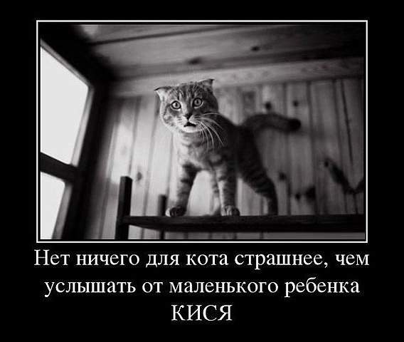 568 x 480 Улыбнемся?