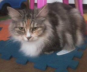 1470 X 1229 412.6 Kb 3   