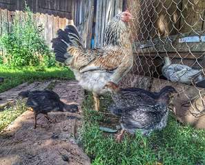 1920 X 1547 579.0 Kb ежедневка