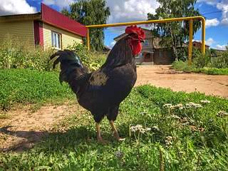 1920 X 1440 571.2 Kb ежедневка